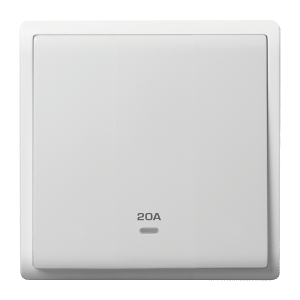 1 Gang Double Pole Switch