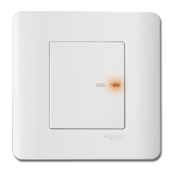 1 Gang Double Pole Switch