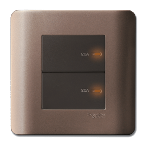 2 Gang Double Pole Switch