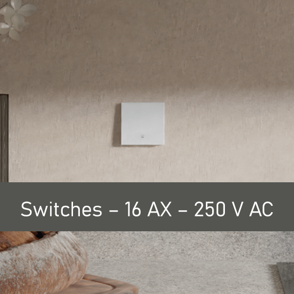 Switches – 16 AX – 250 V AC